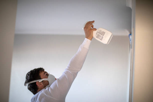 Best Black Mold Remediation in Bonny Doon, CA