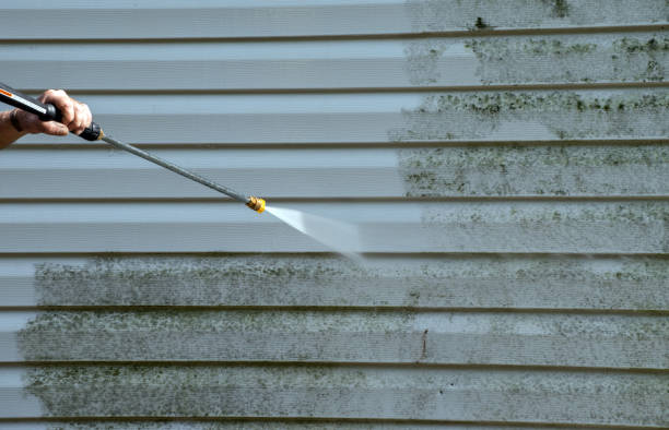 Best Residential Mold Remediation in Bonny Doon, CA