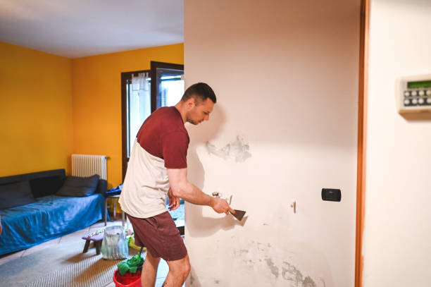 Best Health and Safety Mold Remediation in Bonny Doon, CA