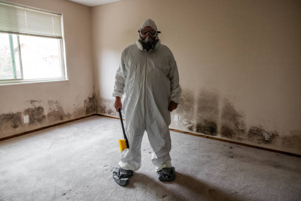 Best Crawl Space Mold Remediation in Bonny Doon, CA